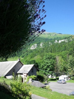 Camping l'OREE DES MONTS - image n°6 - Roulottes