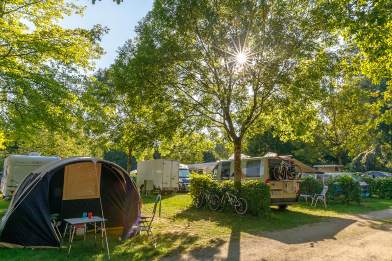 Camping & Pension Au an der Donau photo 5