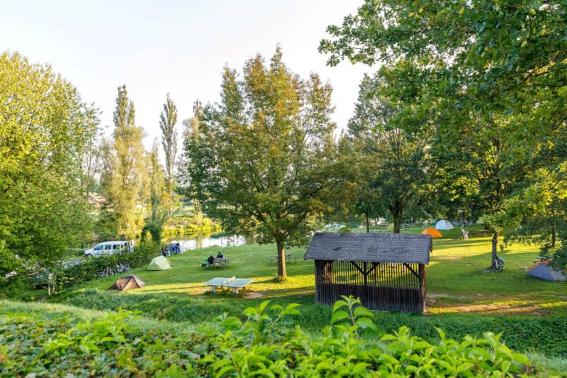Camping & Pension Au an der Donau - Photo 3