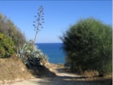 Foto #2 van Camping Club Naturista Pizzo Greco
