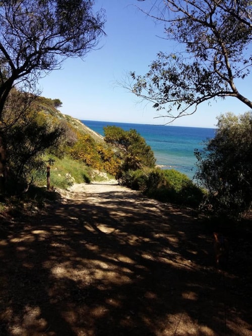 Foto #1 van Camping Club Naturista Pizzo Greco