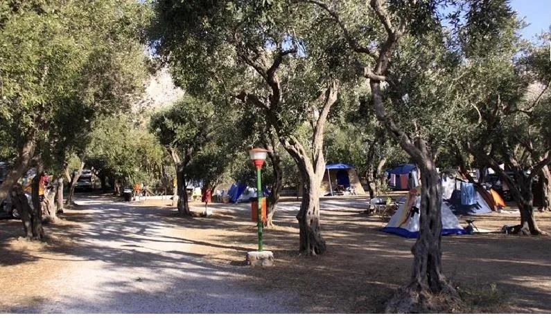 Camping Internazionale La Playa - image n°1 - Camping2Be