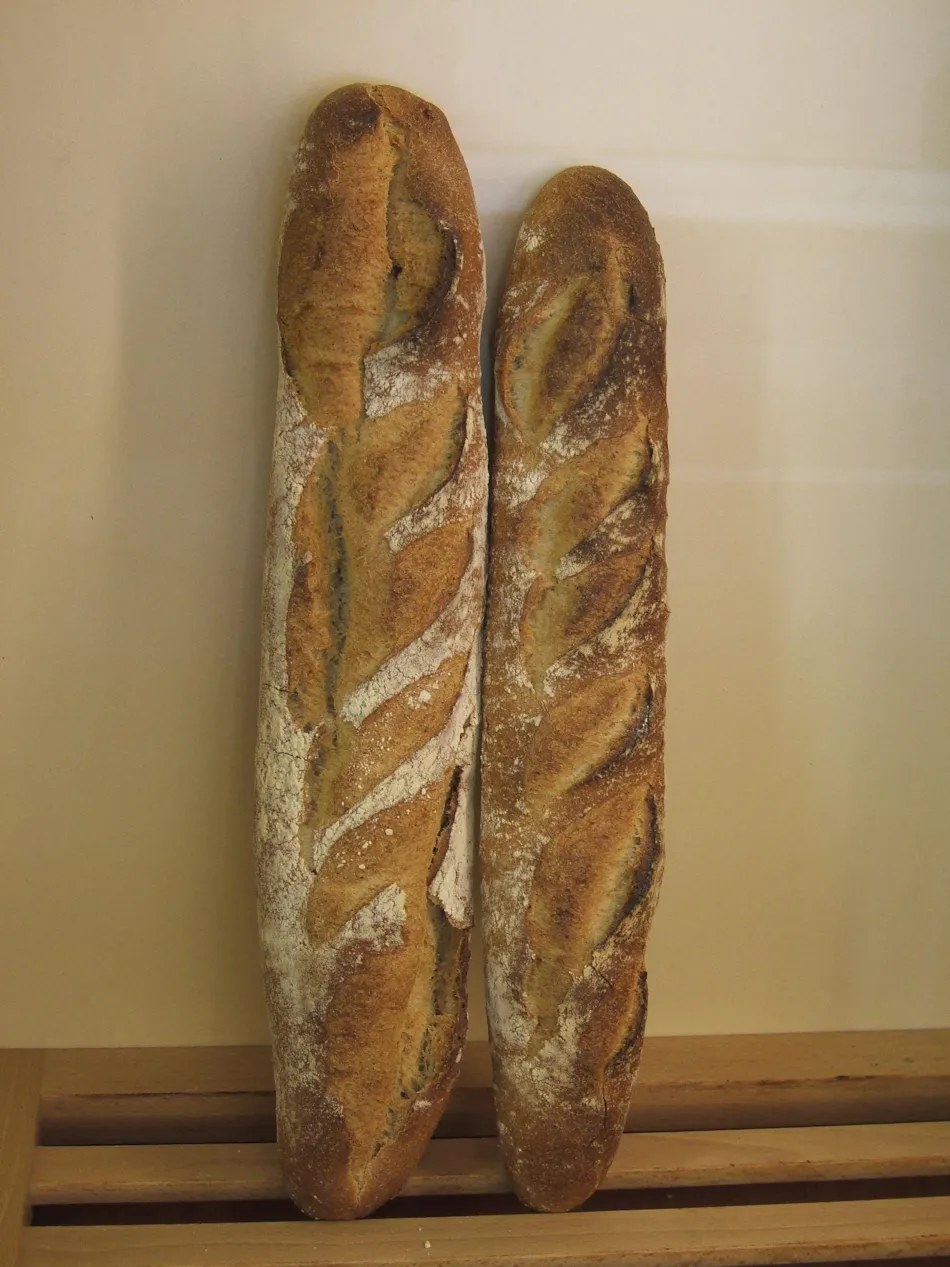 Détente et Clapotis