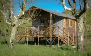 Locatif - Eco-Chalet - Détente et Clapotis