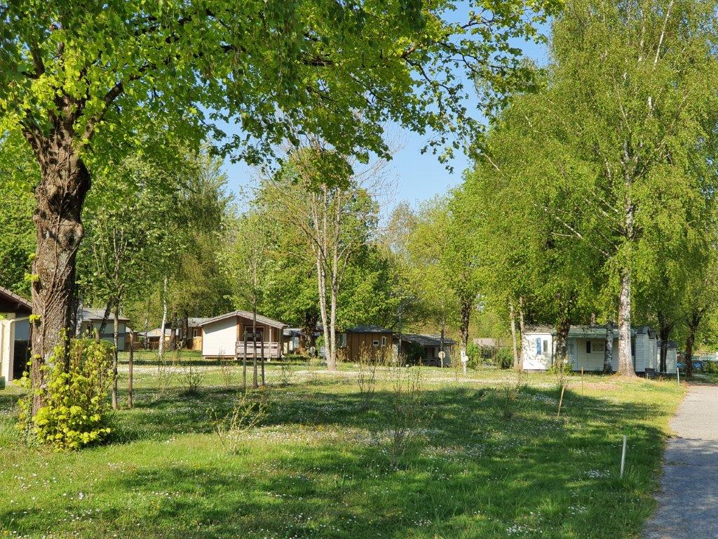 Pitch - Nature Package (1 Car) - Camping Le Lac Saint Clair