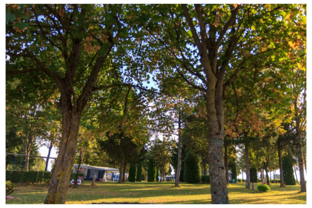 Pitch - Pitch + Electricity - Camping Um Bierg