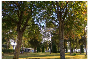 Stellplatz - Stellplatz + Strom - Camping Um Bierg
