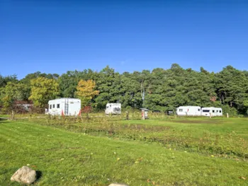 Kampeerplaats(en) - Camperplaats - Moselcamping Kröver Berg