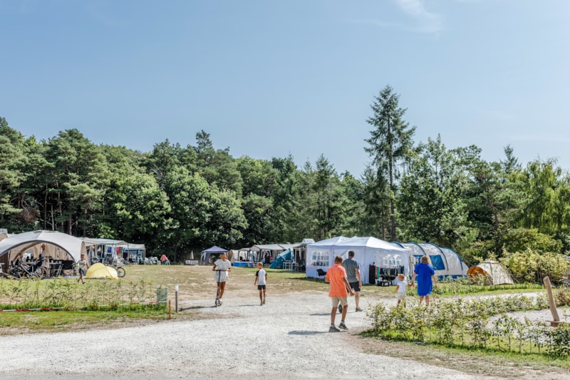 Stellplatz Wiese
