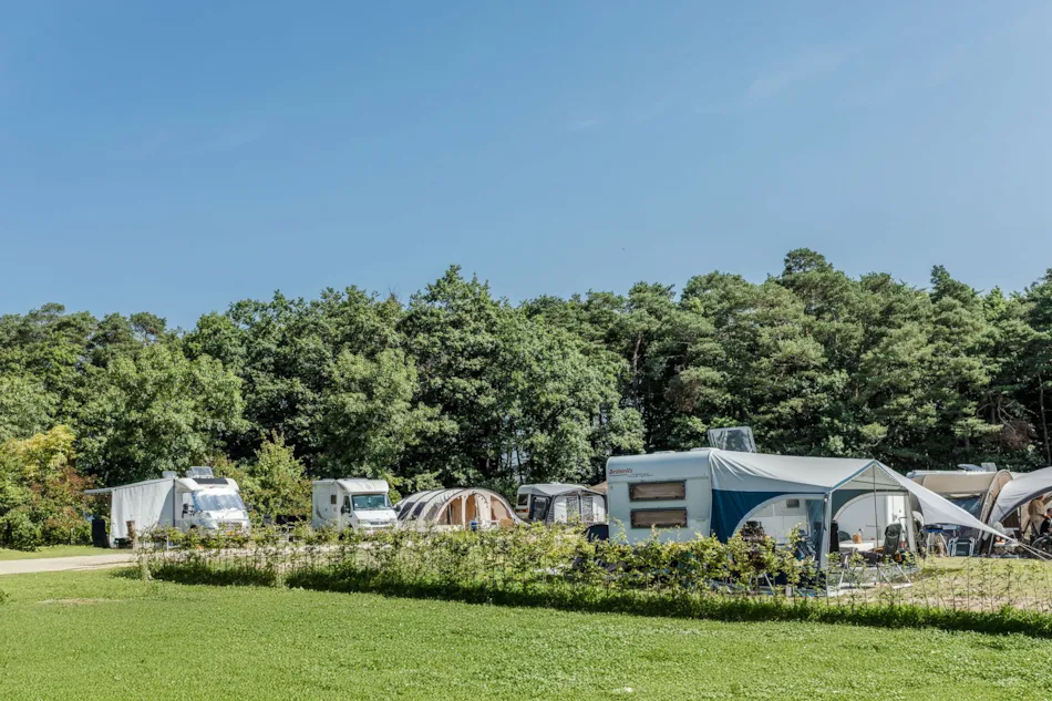Moselcamping Kröver Berg