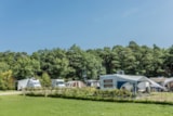 Foto #5 van Moselcamping Kröver Berg
