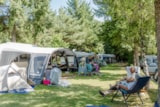 Foto #6 van Moselcamping Kröver Berg