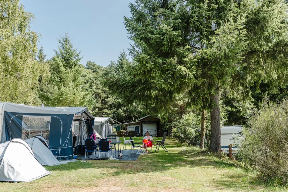 Moselcamping Kröver Berg