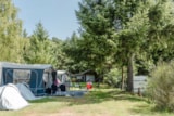 Foto #7 van Moselcamping Kröver Berg
