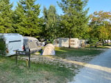 Foto #8 van Moselcamping Kröver Berg