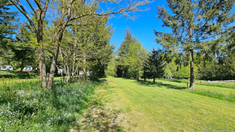 Moselcamping Kröver Berg