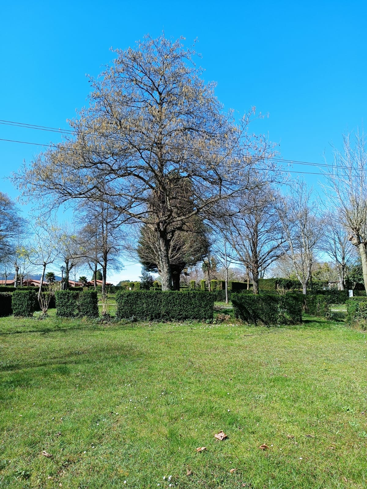 Wecamp Cudillero — Photo 3