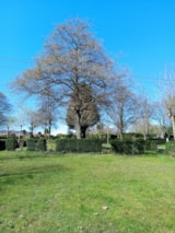 Foto #3 van Wecamp Cudillero