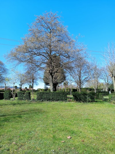 Pitch (no tents allowed) — 1
