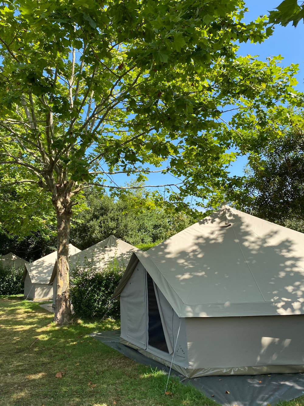 Wecamp Cudillero — Photo 7