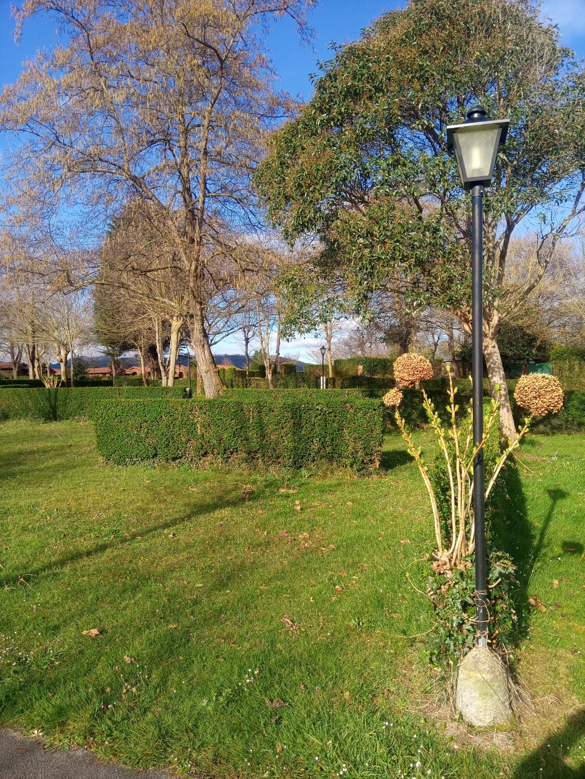 Wecamp Cudillero — Photo 10