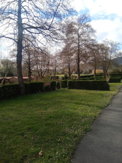 Pitch (no tents allowed) — 3