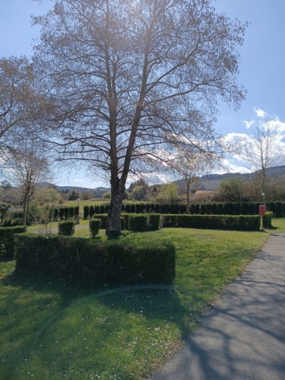 Pitch (no tents allowed) — 4