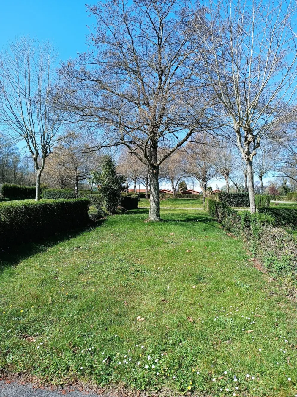 Pitch - Parcela Camper (No Tents Allowed) - Wecamp Cudillero