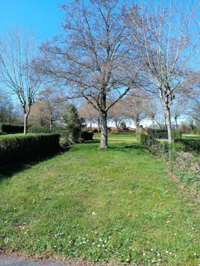 Parcela Camper (no tents allowed) — 1