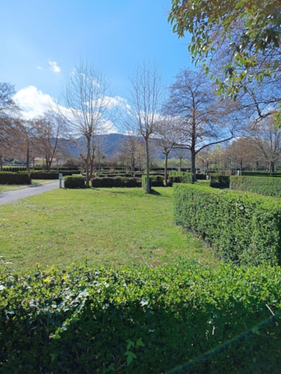 Parcela Camper (no tents allowed) — 2
