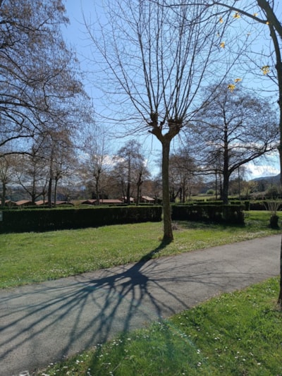 Parcela Camper (no tents allowed) — 3
