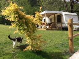 Accommodation - Caravan - Camping Le Cabaliros ***