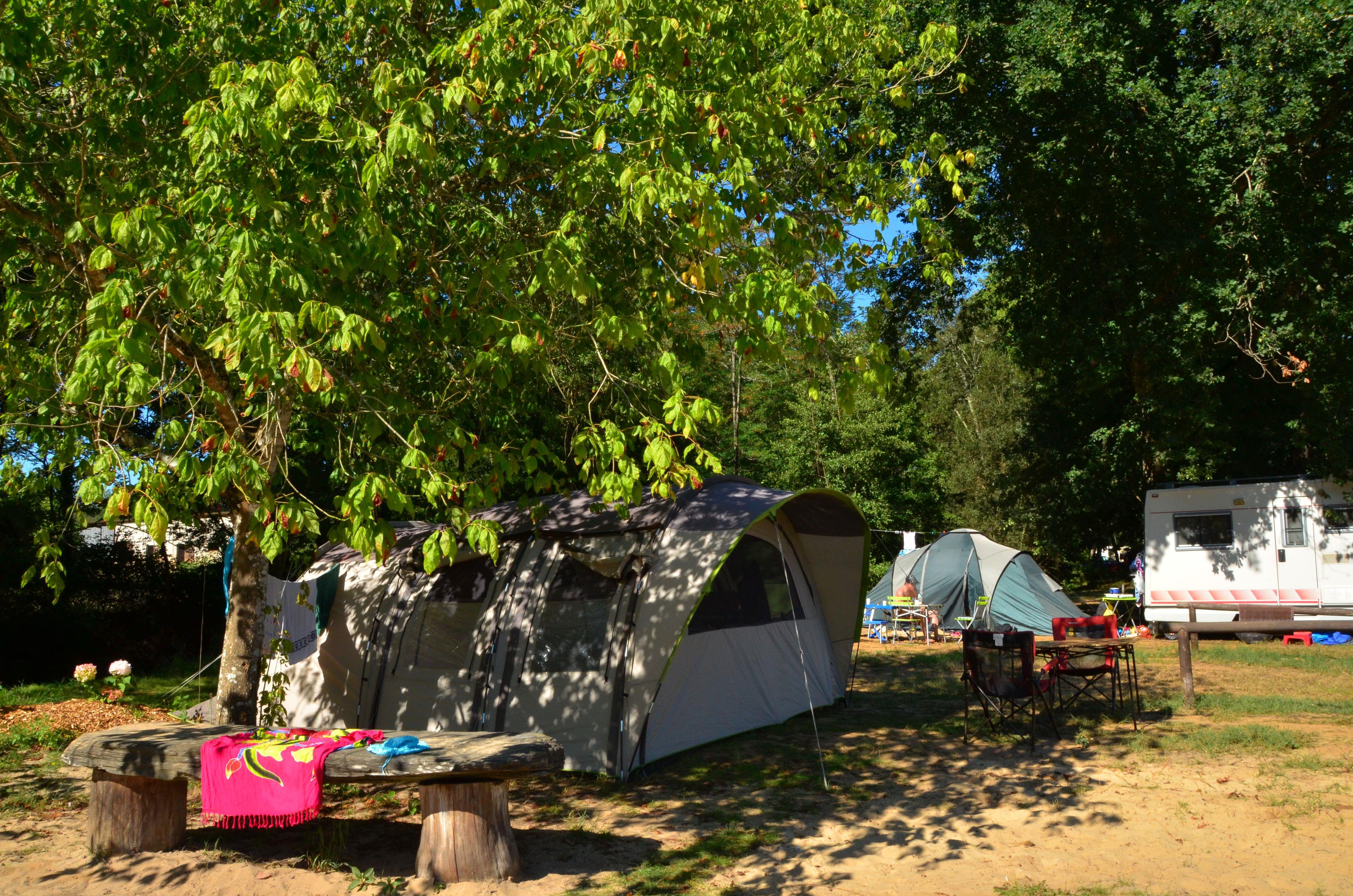 Forfait Privilège (1 tente, caravane ou camping-car / 1 voiture / électricité 10A) - environ 130 m²