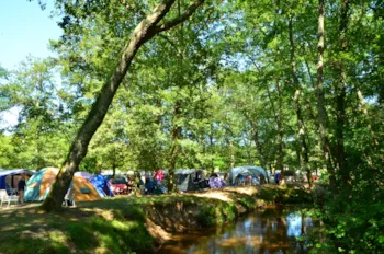 Stellplatz - Stellplatz Confort (Zelt, Wohnwagen, Wohnmobil / 1 Auto / Strom 10A) - Camping La Clairière