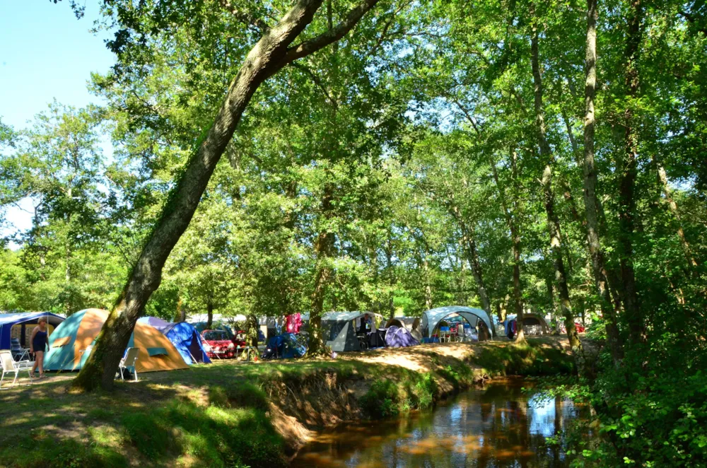 Basisprijs Comfortplaats (1 tent, caravan of camper / 1 auto / elektriciteit 10A)