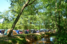 Basisprijs Comfortplaats (1 Tent, Caravan Of Camper / 1 Auto / Elektriciteit 10A)