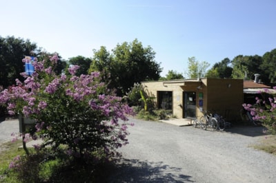 Camping La Clairière