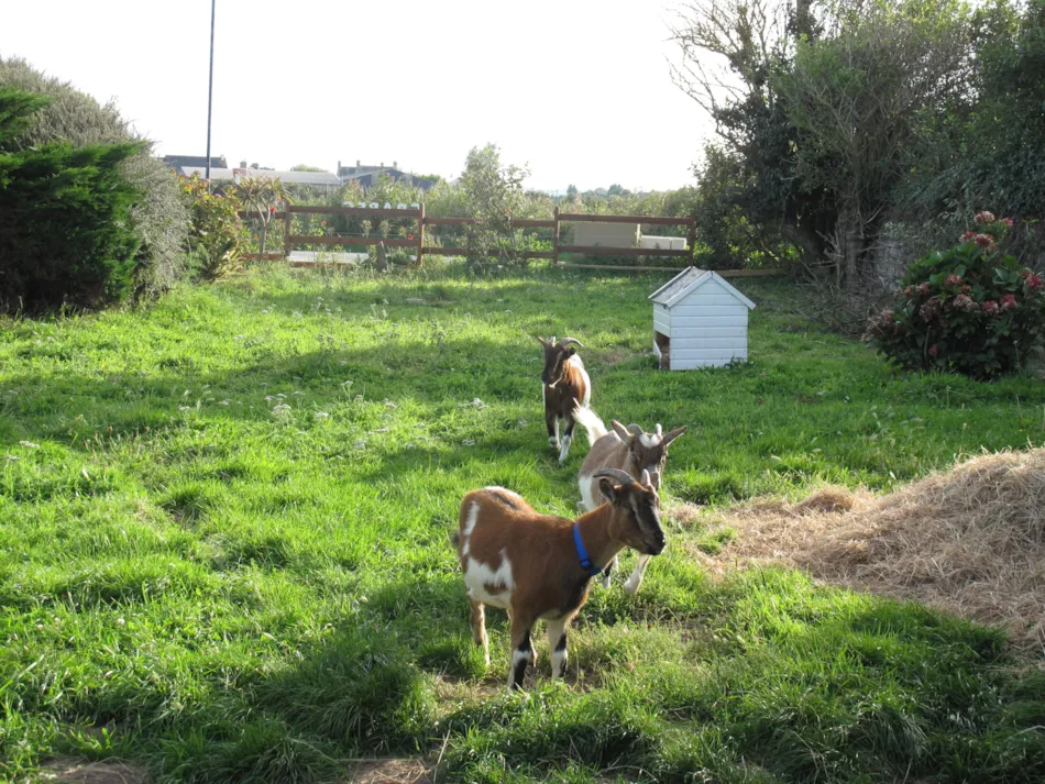 Camping La Ferme du Bord de Mer