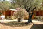 Bungalow Campitel Bungalow Campitel