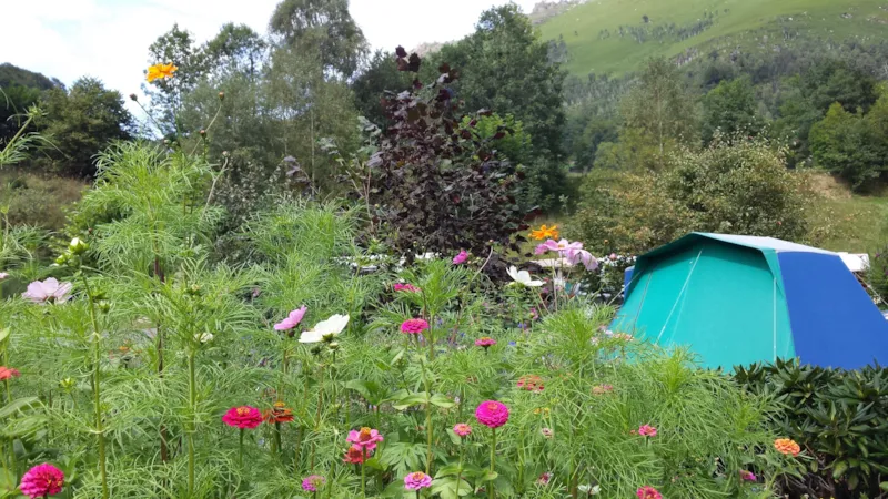 Forfait Nature 85 - 110M²