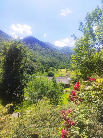 Flower Camping Pyrénées Natura