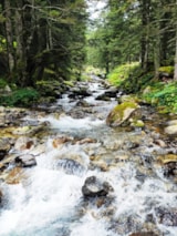 Foto #16 van Flower Camping Pyrénées Natura