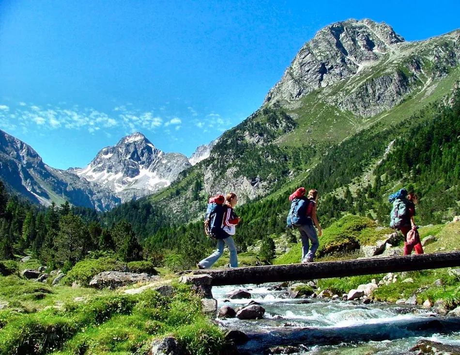Flower Camping Pyrénées Natura