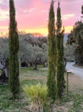 Camping Little Carpe Diem