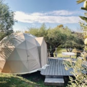 Camping Little Carpe Diem