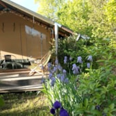 Camping Little Carpe Diem