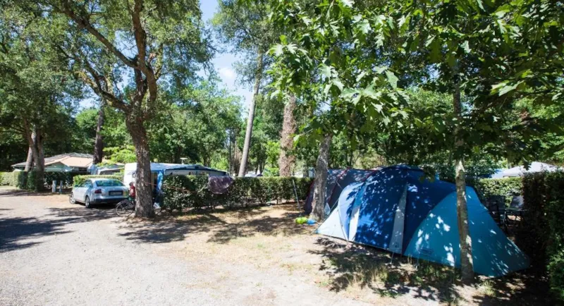 Forfait Emplacement + Un Véhicule