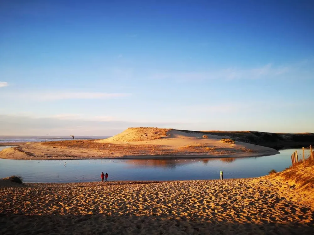 Camping LANDES AZUR