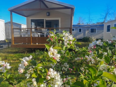 Camping LANDES AZUR