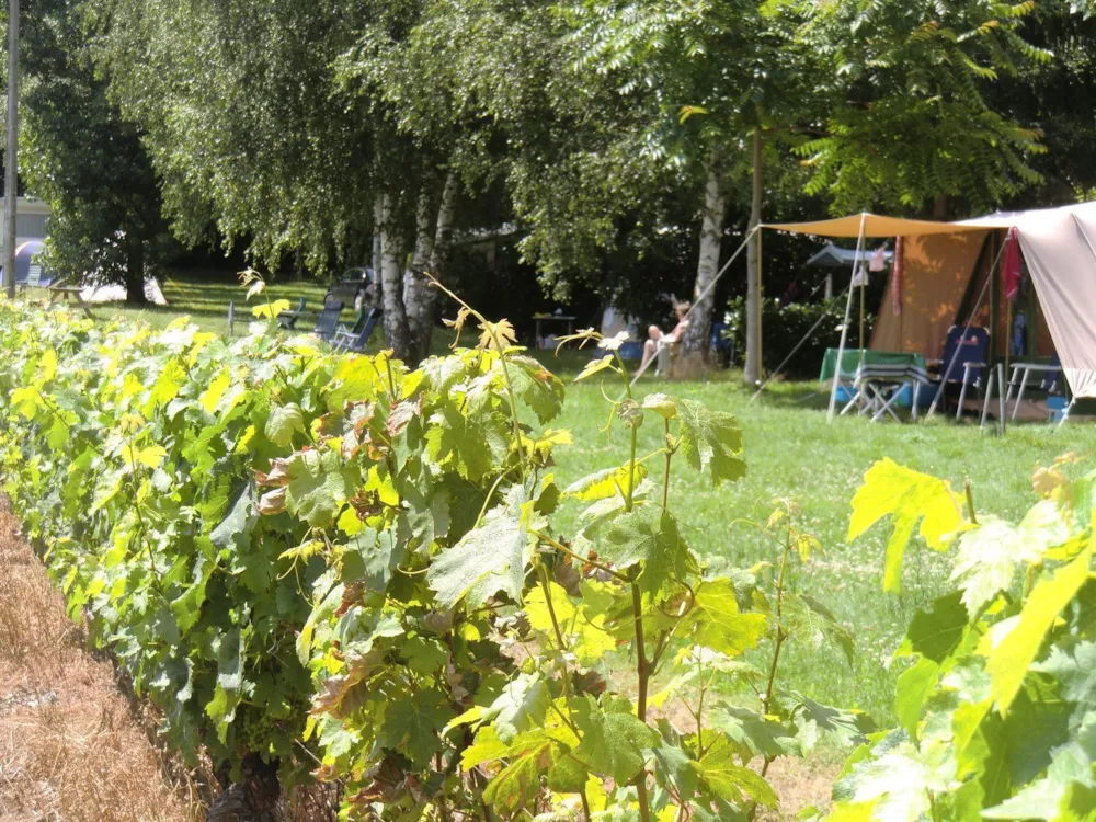 Camping Domaine du Bien Vivre - image n°1 - Camping2Be